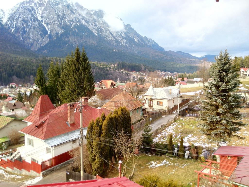 Vila Marcela Szászbuda Szoba fotó