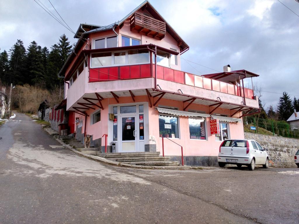 Vila Marcela Szászbuda Kültér fotó